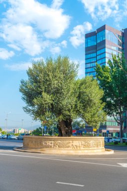 Tiflis, Gürcistan - 30.08.2018: zeytin ağacı Rustaveli Caddesi üzerinde.