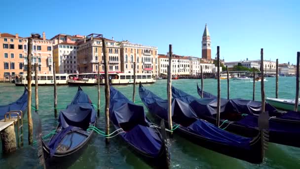 Venecia Italia 2018 Góndolas Autobuses Venecia Gran Canal Italia — Vídeo de stock