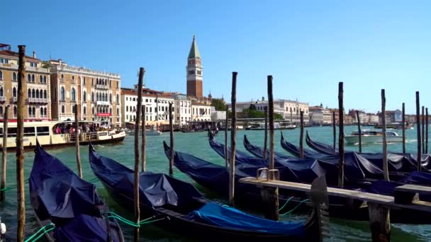 Venedig Italien 2018 Gondeln Und Busse Venedig Dem Großen Kanal — Stockvideo