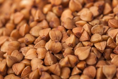 Makro buğday tahıl, gıda, arka plan görüntüsünü.