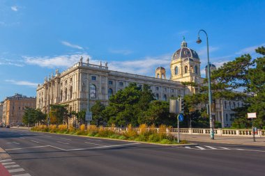 Güzel Sanatlar Müzesi (Kunsthistorisches Müzesi) içinde Maria-Theresien-Platz, Viyana, Avusturya.