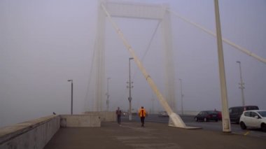 Budapest, Macaristan - 11.11.2018: Bir görünümü Elisabeth Bridgein Budapest