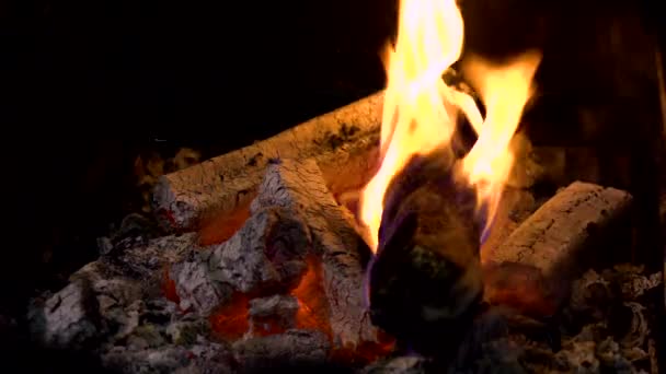 Φλόγα Της Φωτιάς Καίει Μαγκάλι Φλόγες Της Φωτιάς — Αρχείο Βίντεο