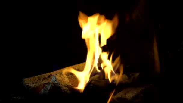 Die Flamme Des Feuers Brennt Kohlenbecken Feuerflammen — Stockvideo