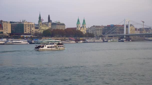 Budapest Macaristan 2018 Bir Görünümü Elisabeth Bridgein Budapest — Stok video