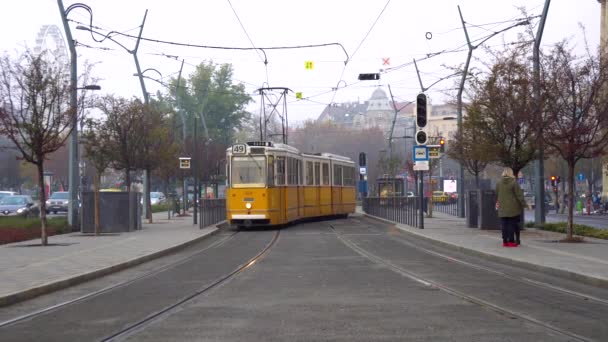 Budapeste Hungria 2018 Eléctricos Amarelos Budapeste Hungria Uma Das Imagens — Vídeo de Stock