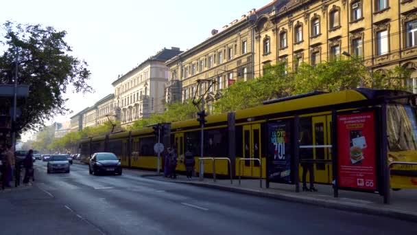 Budapest Hungría 2018 Tranvías Amarillos Budapest Hungría Una Las Imágenes — Vídeos de Stock