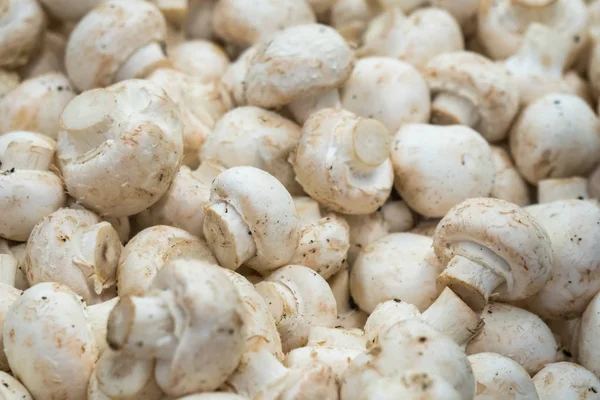 Fresh white button mushrooms on the farmers\' market.