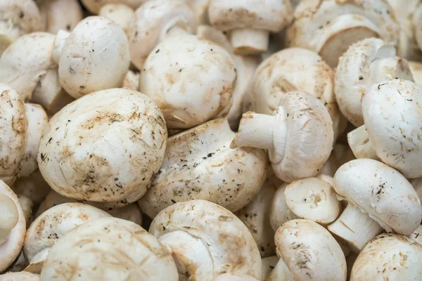 Fresh white button mushrooms on the farmers\' market.
