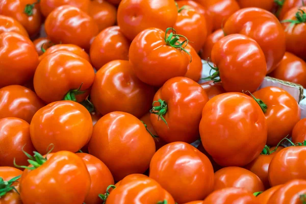 Tomates Maduros Mercado Agricultor Alimentos Saudáveis — Fotografia de Stock