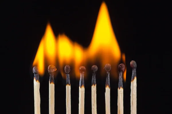 Skupina Vypalování Nespálených Zápasy Izolované Černém Pozadí — Stock fotografie
