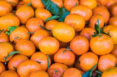 Piyasada taze mandalina portakalları.