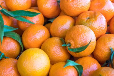 Piyasada taze mandalina portakalları.