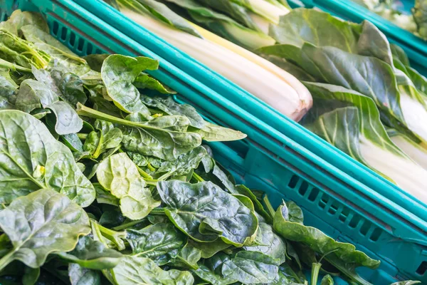 piyasada, sağlıklı gıda taze yeşillik.