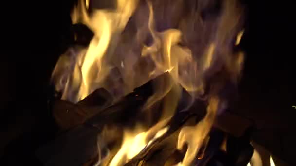 保温れんが造りの暖炉で燃える火 — ストック動画