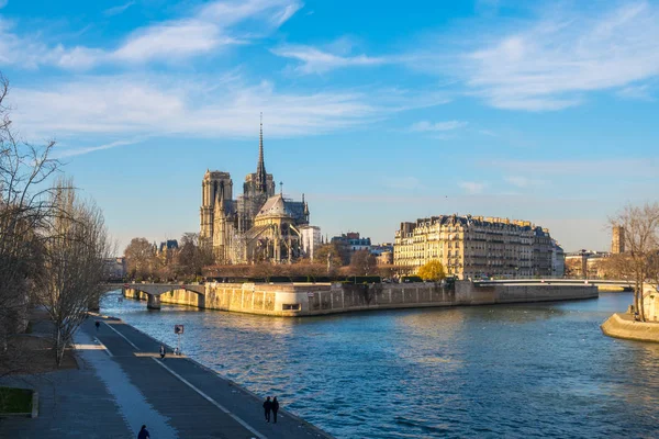 Catedral Notre Dame París Hermosa Catedral París Vista Desde Sena —  Fotos de Stock