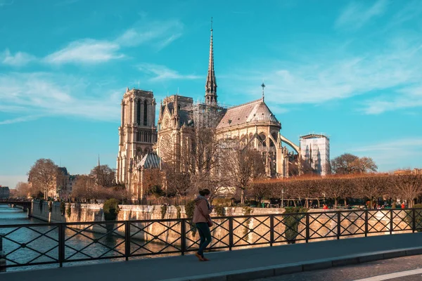 Notre Dame Paris Cathedral Beautiful Cathedral Paris View River Seine — Stock Photo, Image