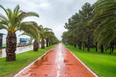 Deniz kenarındaki güzel Batum Merkezi parkta yağmurlu bir gün.