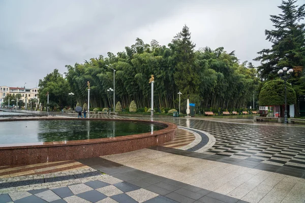 Krásné Přímořské Park Centru Batumi Deštivý Den — Stock fotografie