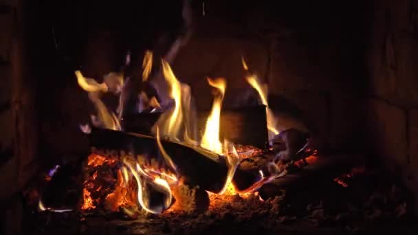 保温れんが造りの暖炉で燃える火 — ストック動画