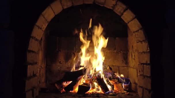 Fire Burns Brick Fireplace Keep Warm — Stock Video