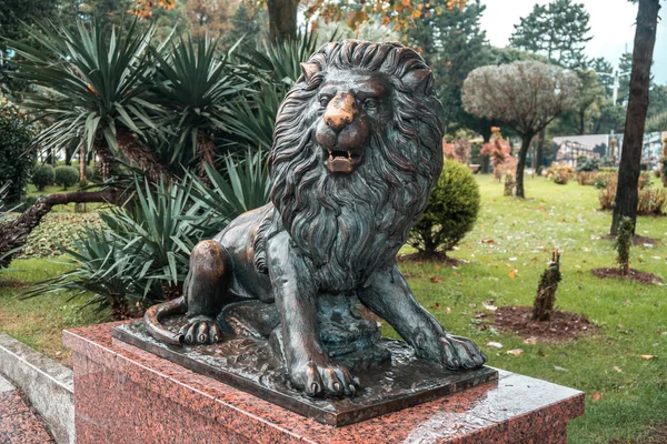 Batumi Georgia 2018 Estatua Bronce León Parque Batumi — Foto de Stock