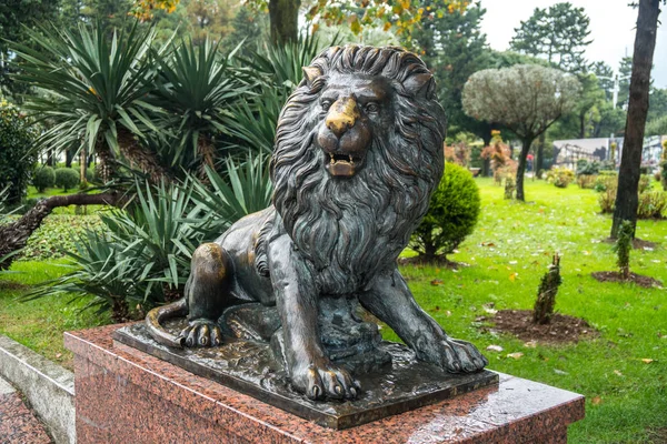 Batumi Georgia 2018 Estatua Bronce León Parque Batumi — Foto de Stock