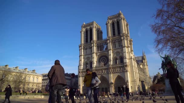 Paris France 2019 Cathedral Notre Dame Paris — 비디오