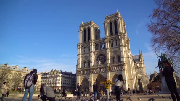 Paris France 2019 Cathedral Notre Dame Paris — стокове відео