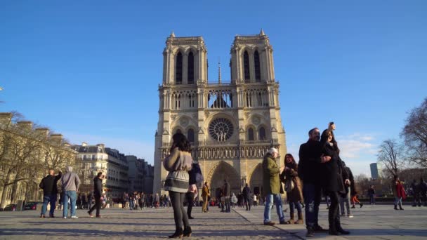 Paris France 2019 Cathedral Notre Dame Paris — стокове відео