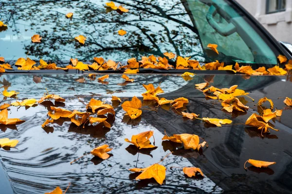 Folhas Amarelas Caídas Vidro Capô Carro Preto Outono — Fotografia de Stock