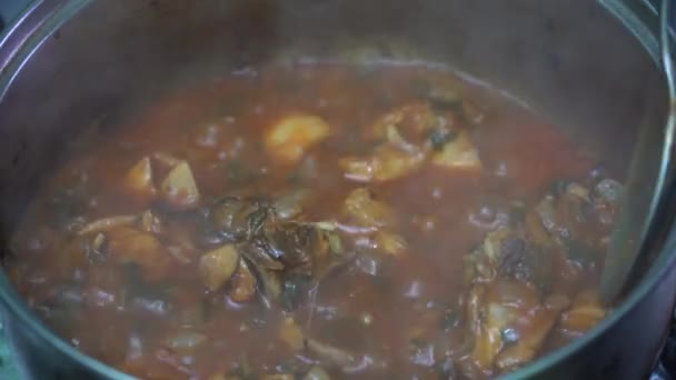 Bucătărie Georgiană Chashushuli Carne Ierburi Alimente — Videoclip de stoc