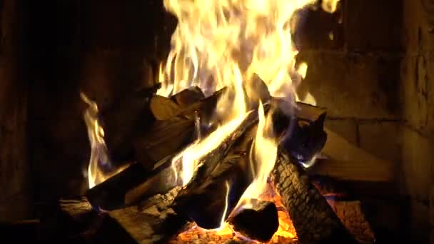 Fire Burns Brick Fireplace Keep Warm — Stock Video