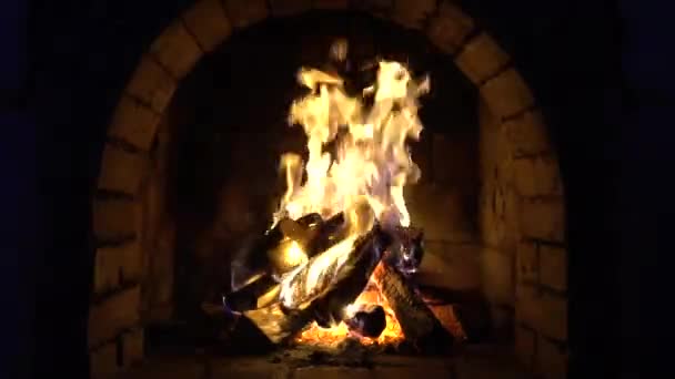 Fire Burns Brick Fireplace Keep Warm — Stock Video