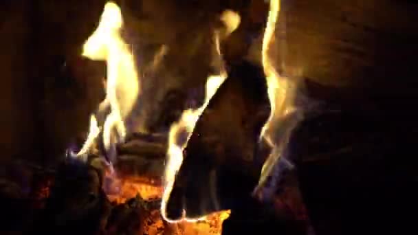 Fire Burns Brick Fireplace Keep Warm — Stock Video