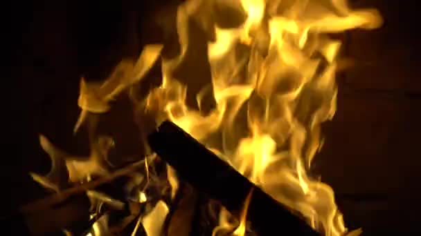 Fire Burns Brick Fireplace Keep Warm — Stock Video