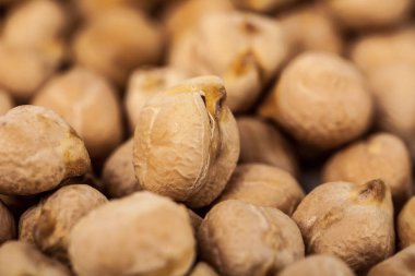 sağlıklı gıda. Nohut arka plan. Nohut doku. makro fotoğrafçılık