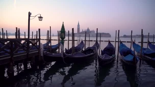 Gondolas Venice Moning Background San Giorgio Maggiore Island Visible — Stock Video