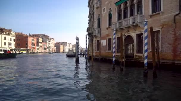 Wenecja Włochy 2019 Widok Canal Grande Łodzi — Wideo stockowe