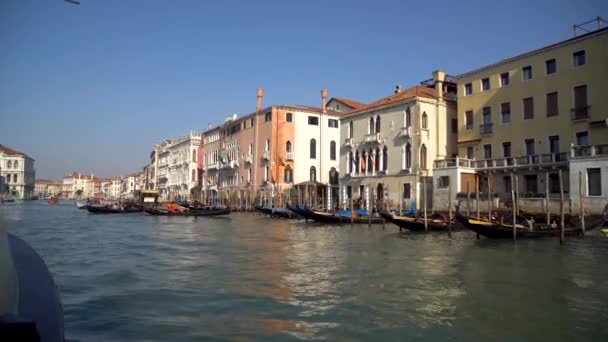 Venezia Italia 2019 Veduta Del Canal Grande Dalla Barca — Video Stock