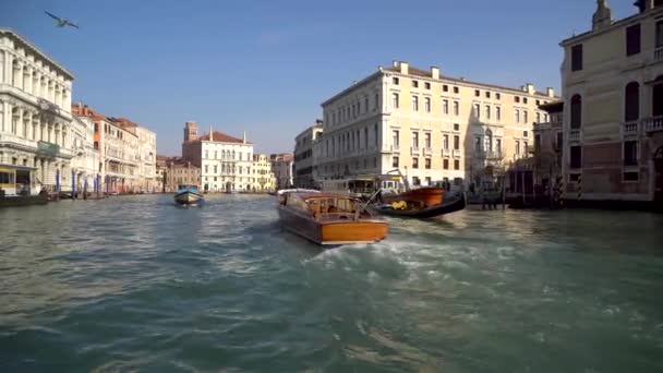 Venedig Italien 2019 Blick Auf Den Großen Kanal Vom Boot — Stockvideo