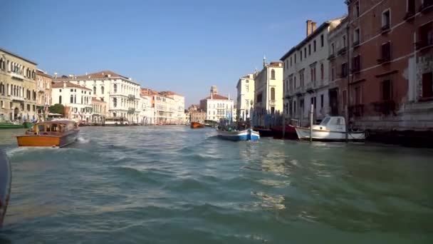 Venedig Italien 2019 Blick Auf Den Großen Kanal Vom Boot — Stockvideo