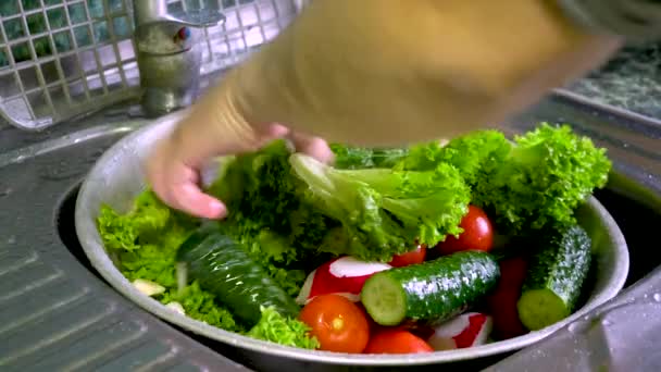Gemüse Hause Mit Leitungswasser Waschen — Stockvideo