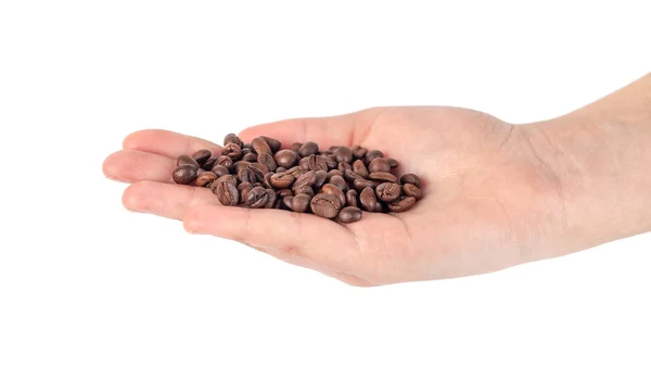 Hand holding roasted coffee beans isolated on white background — Stock Photo, Image