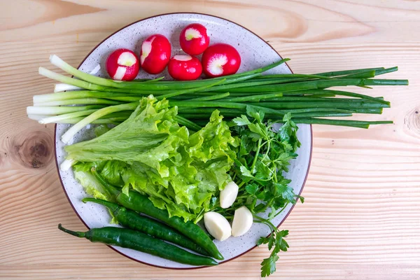 Radis, persil, oignon et autres légumes dans une assiette — Photo