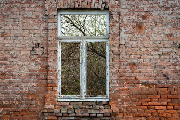 Vieja pared de ladrillo con una vieja ventana y crecimientos — Foto de Stock