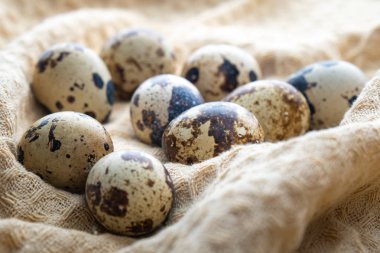 Bez üzerinde küçük bıldırcın yumurtası, ürün