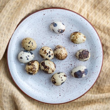 Gri plaka üzerinde bıldırcın yumurtası, eko ürün, üst görünüm