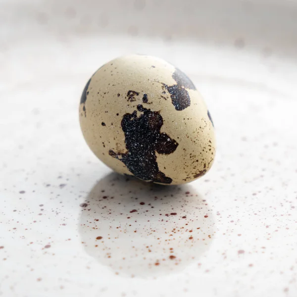 Huevo de codorniz en la placa gris, producto ecológico — Foto de Stock