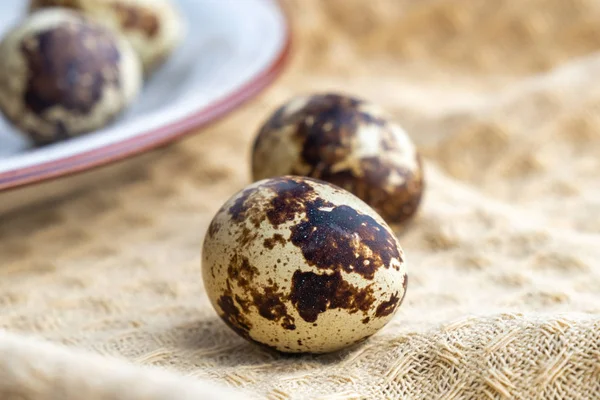 Маленькие Перепелиные Яйца Ткани Эко Продукт — стоковое фото
